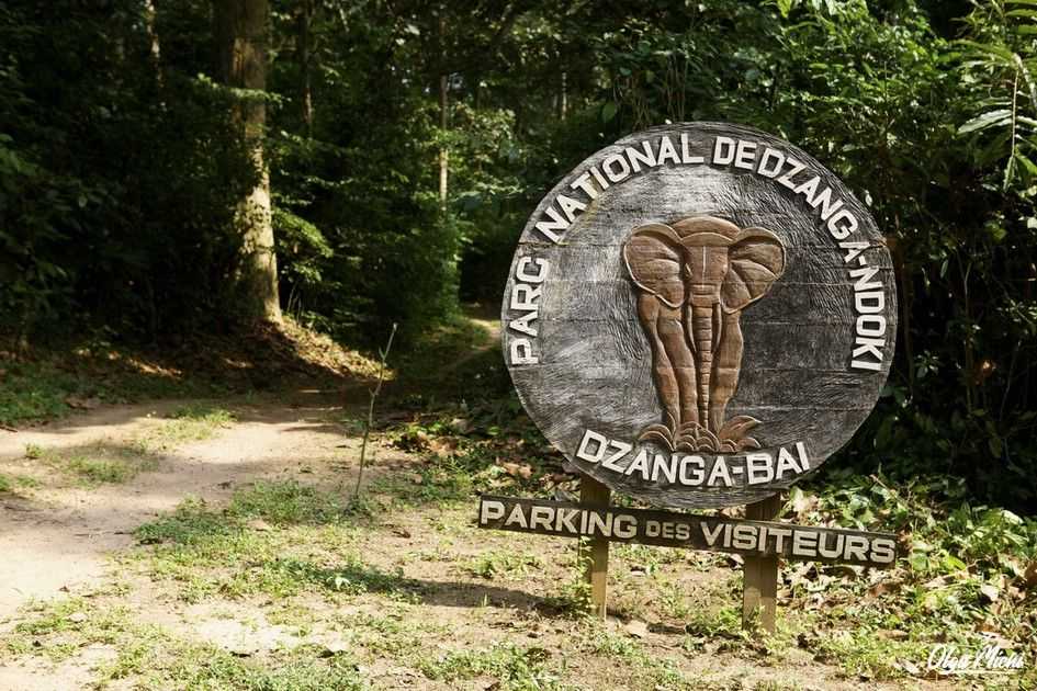 Dzanga-ndoki national park