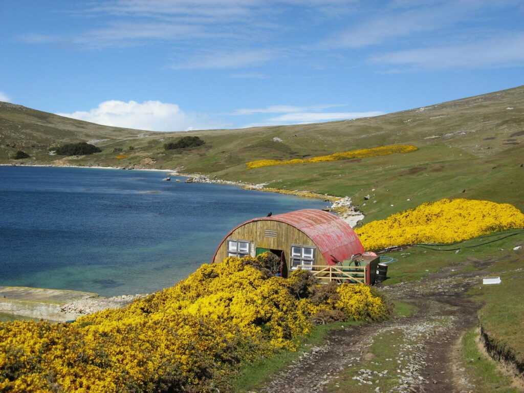 Стэнли — административный центр Фолклендских островов, оспариваемого Аргентиной заморского владения Великобритании, расположенного в юго-западной части Атлантического океана, в 500 км от берегов Южной Америки. Находится на острове Восточный Фолкленд, на б