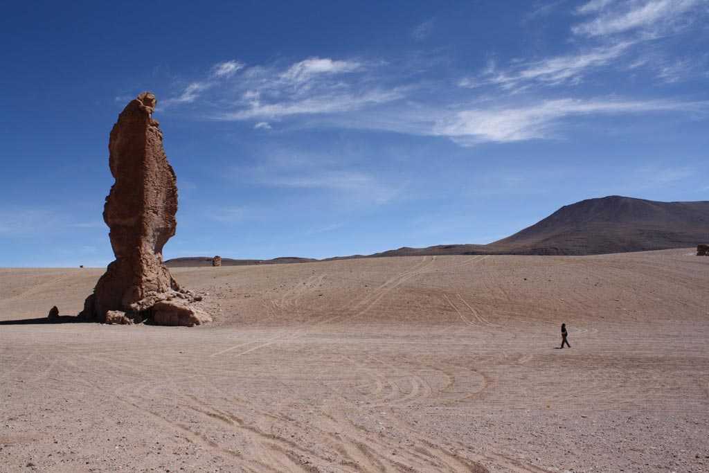 Пустыня атакама — достопримечательности и описание самой сухой пустыни в мире
