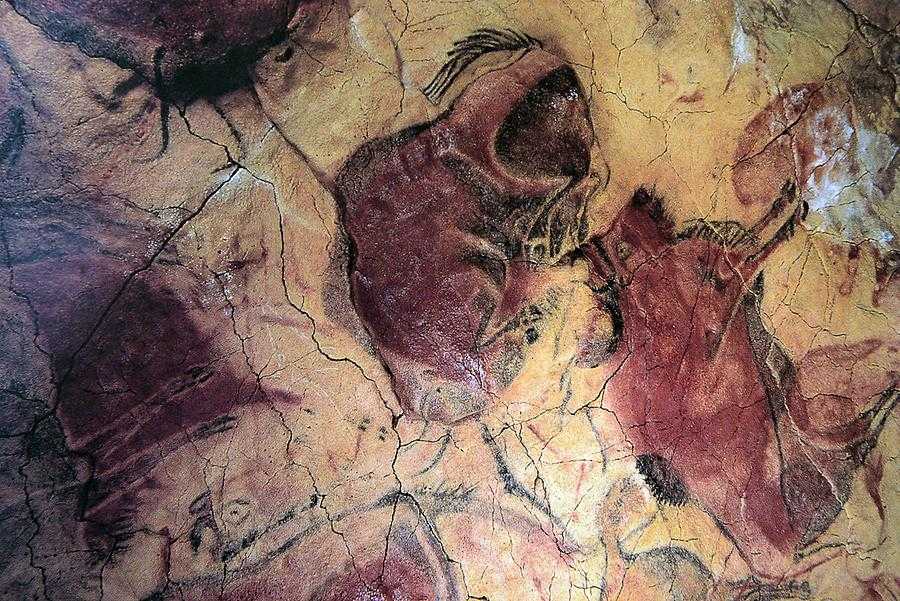 Пещера альтамира и наскальные рисунки каменного века