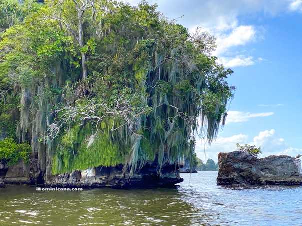 Где в доминикане находится национальный парк лос-айтисес, и чем он знаменит?