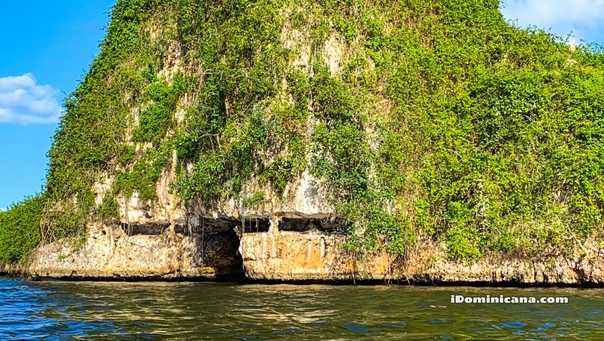 Парк лос-айтисес 🌴 – территория мангровых зарослей и причудливых пещер 🏨