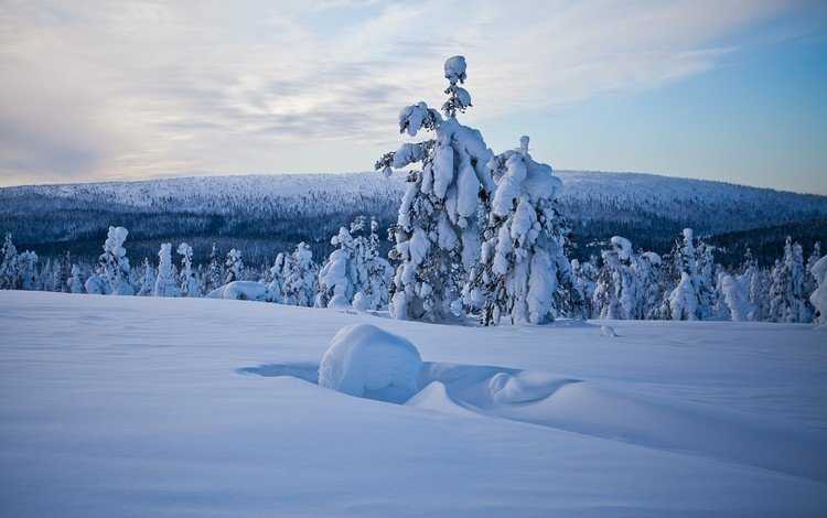 Природа и география финляндии - nordtravel.art