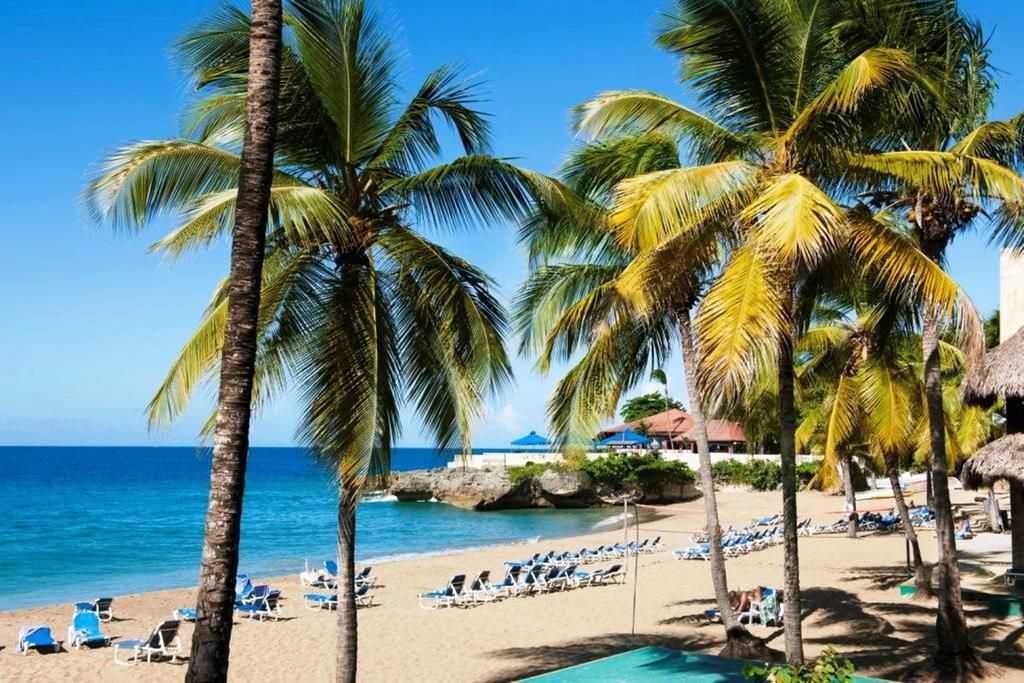 Сосуа, доминиканская республика — отдых, пляжи, отели сосуа от «тонкостей туризма»