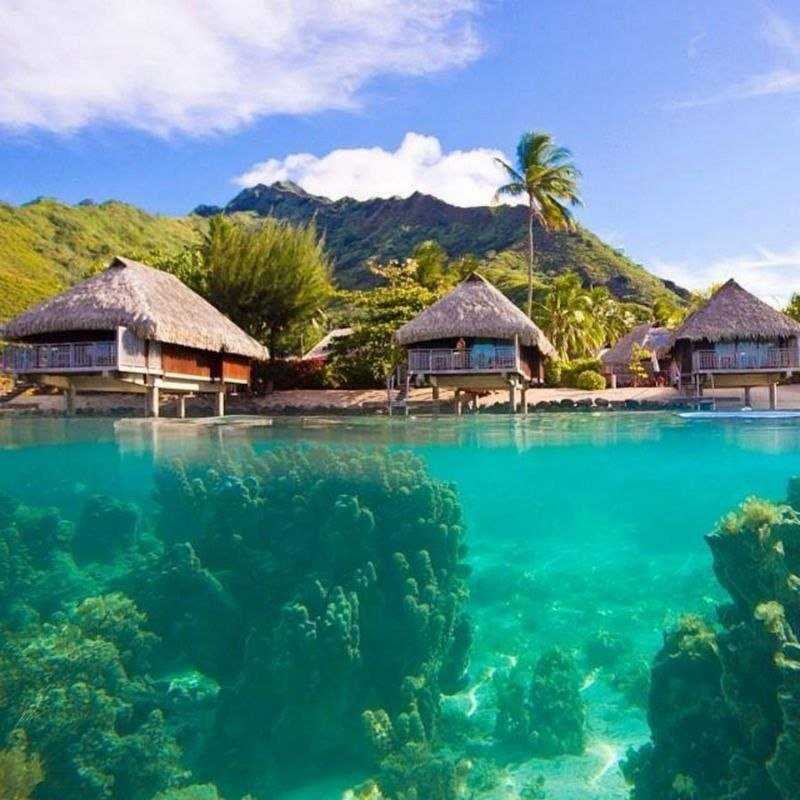 Бора-Бора – самый красивый из островов Французской Полинезии, на который наведываются позагорать американские звезды и японские бизнесмены. Атмосфера спокойной роскоши, усиленная близостью Тихого океана и экзотической флорой, сделали из небольшого атолла