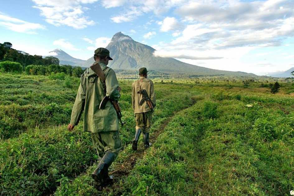 Национальный парк вирунга - abcdef.wiki