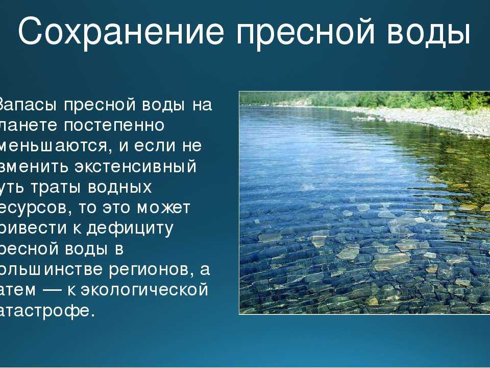 Водные богатства омской области. Пресные водоемы. Озера источники пресной воды. Жизнь в пресной воде. Пресная вода.