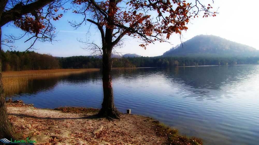 Поездка на махово озеро (máchovo jezero) или где можно искупаться в чехии?