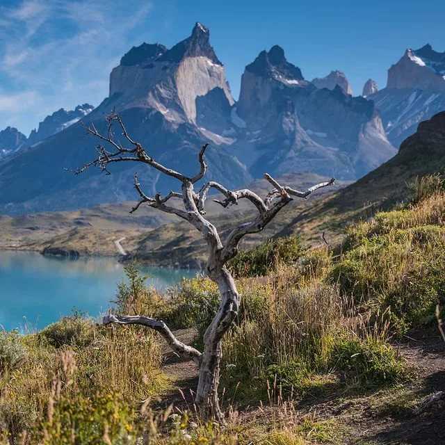 Национальный парк торрес-дель-пайне (parque nacional torres del paine) описание и фото - чили: пуэрто-наталес