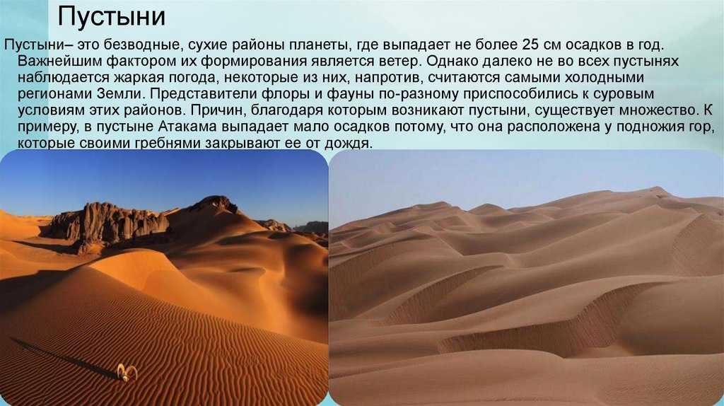 Животный мир пустыни калахари