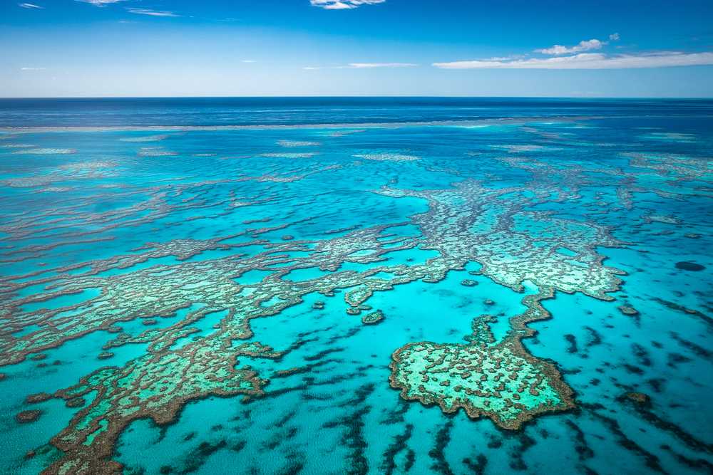 Большой барьерный риф – уникальное чудо австралии