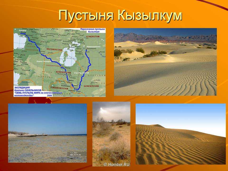 Чарские пески в забайкальском крае: как добраться и где находятся
