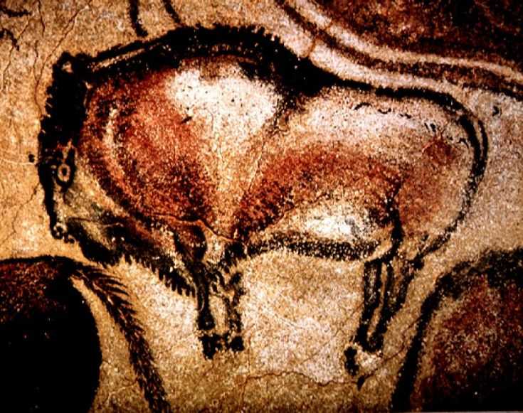 Пещера альтамира в испании. наскальная живопись каменного века.