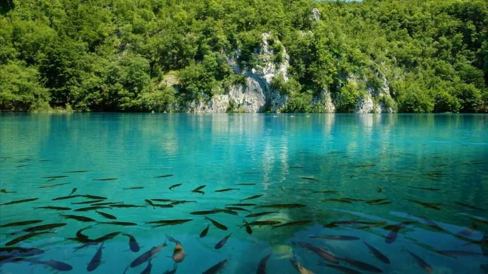 Топ-10 природных достопримечательностей хорватии