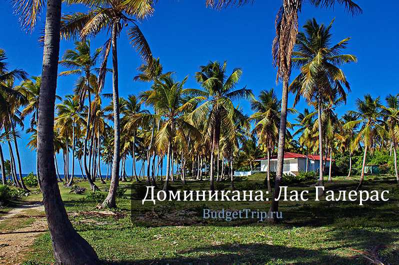 Пляж «хуан долио» в доминикане. отзывы, фото, как добраться — туристер.ру