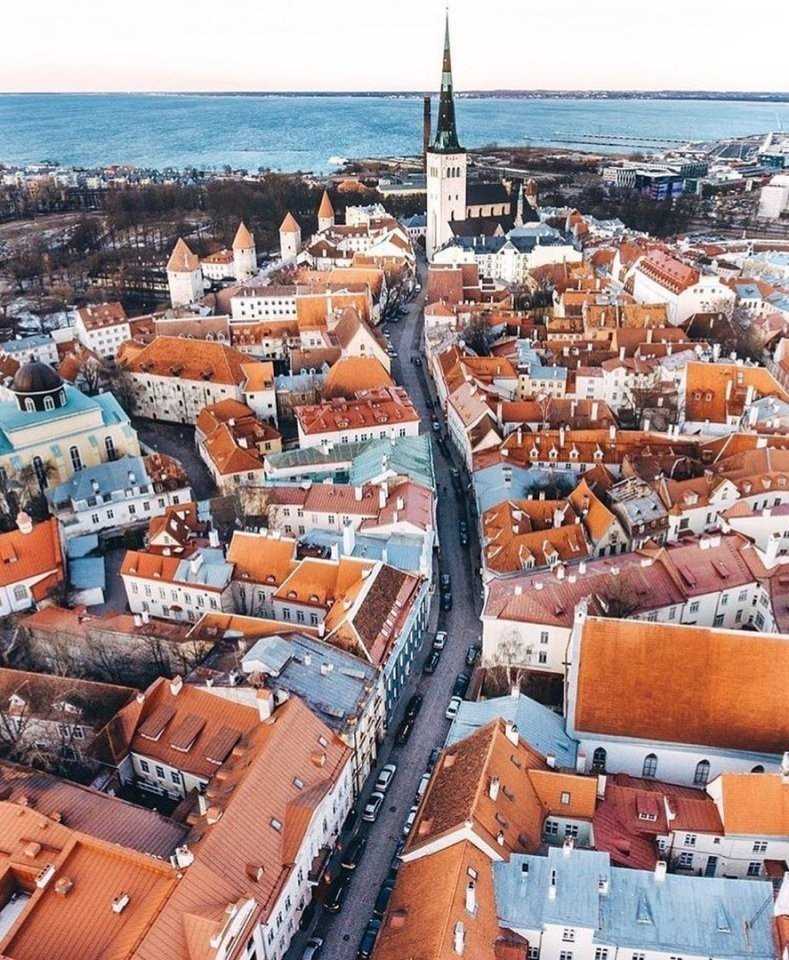 Карта эстонии — наш взгляд на вопрос