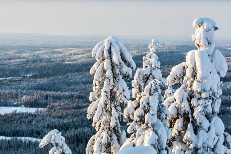 Финляндия: интересные факты о стране | интересный сайт