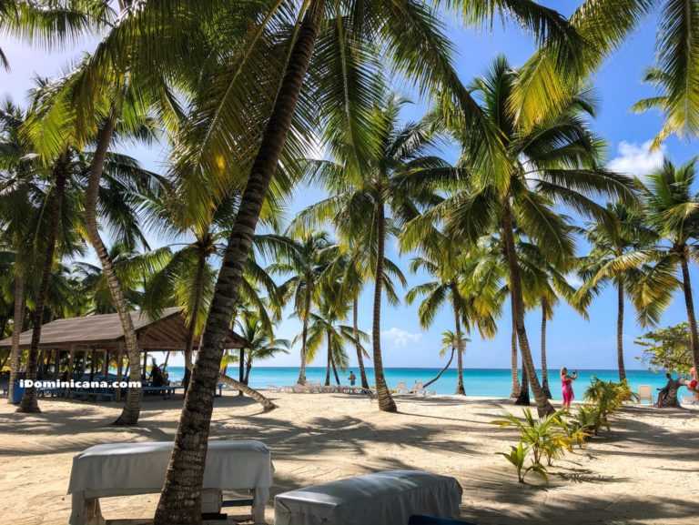 Пунта-кана доминикана: отели, как добраться, что посмотреть, пляж