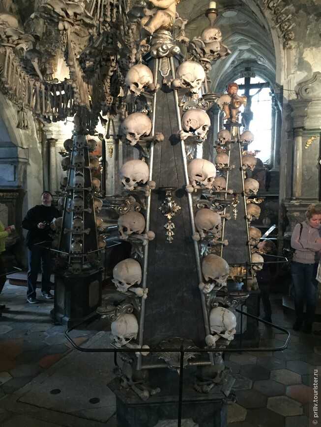 Костница в седлеце – церковь из 40 тысяч человеческих костей