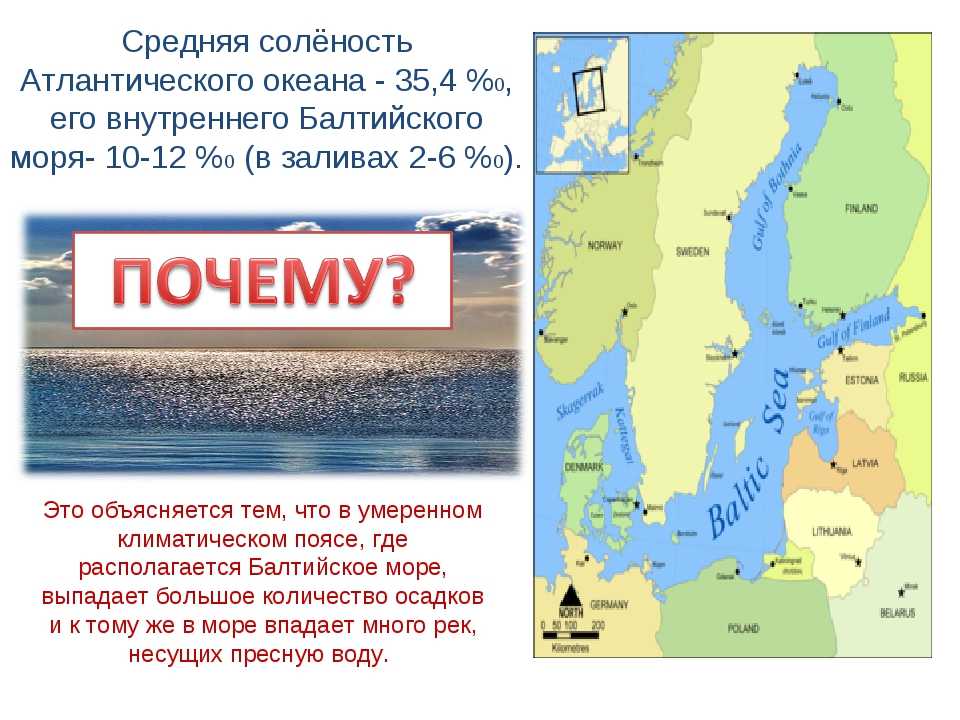 Моря россии, омывающие территорию страны: карта и список