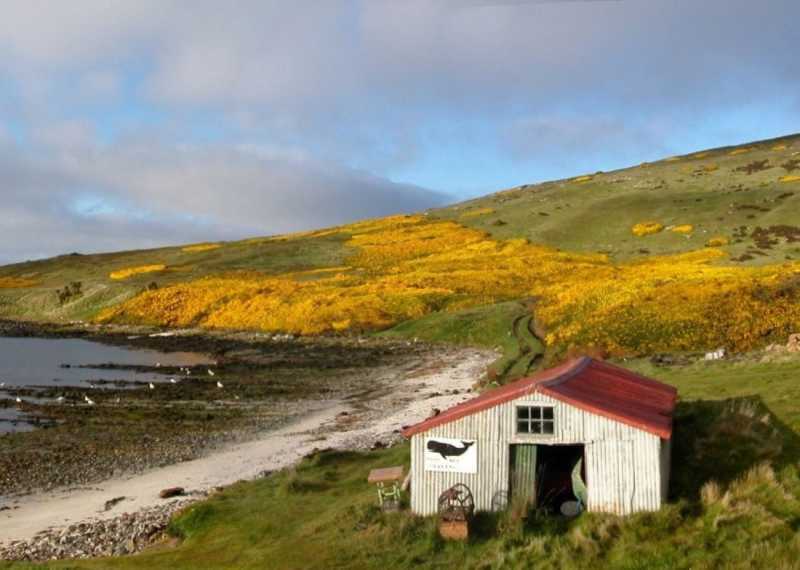 11 лучших туристических достопримечательностей на фолклендских островах