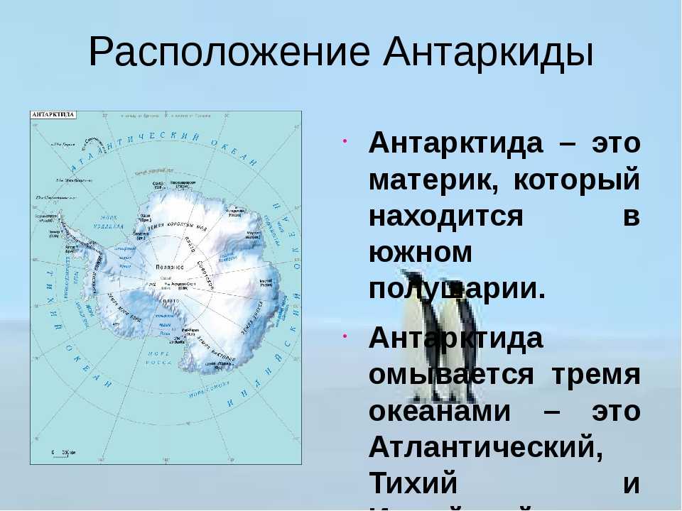 Кто открыл южный океан. Антарктида на карте. Расположение Антарктиды. Антарктида материк на карте. Географическое положение Антарктиды.
