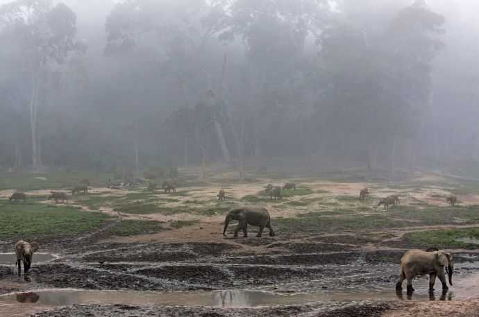 Национальный парк койба в панаме и паранормальные явления на его территории