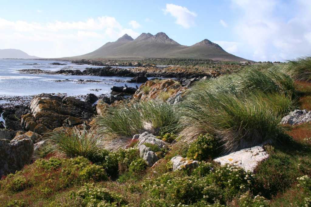 Список топонимов фолклендских островов - list of falkland islands placenames - abcdef.wiki