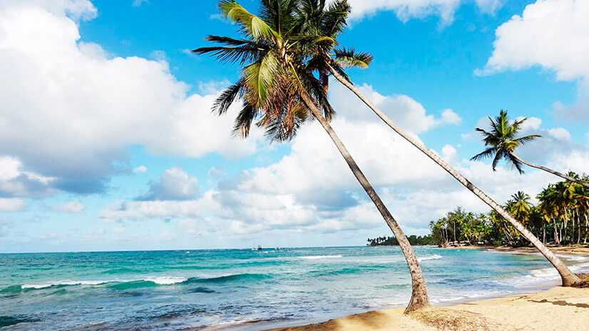 Пуэрто-плата в доминикане 🌞: климат на курорте 🛫