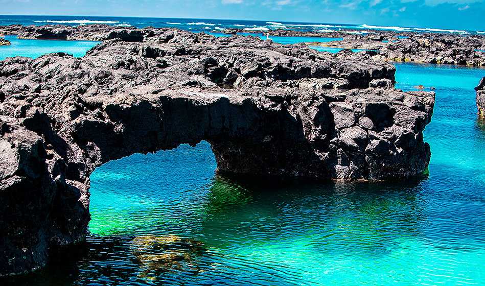 Топ-20 достопримечательностей загадочных галапагосских островов, на которых вы встретите гигантских древних монстров и не только — staff-online