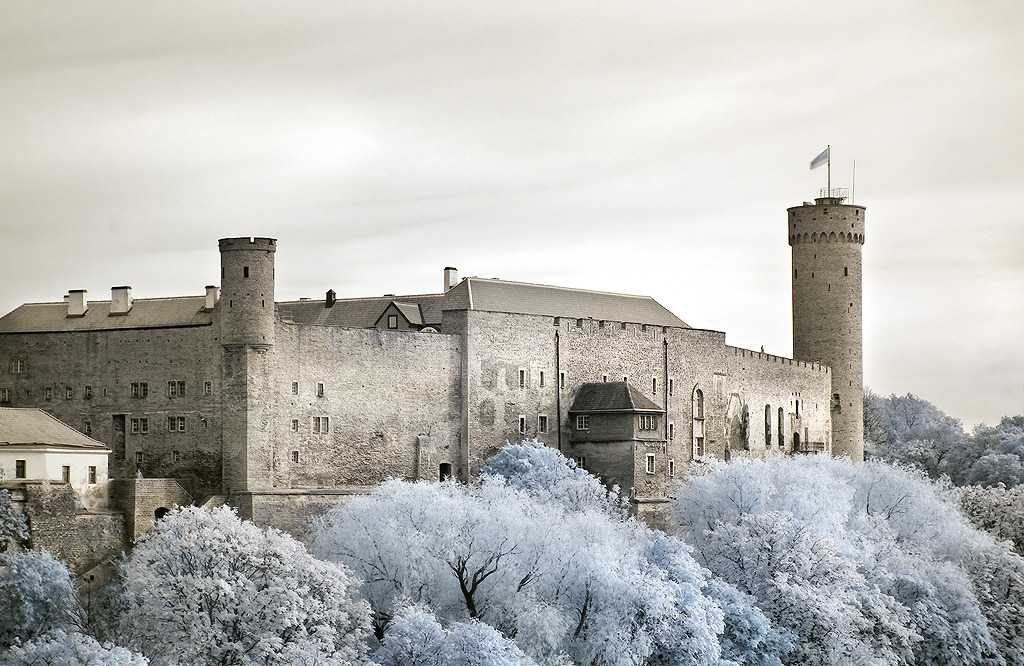 Замок тоомпеа таллин, эстония: фото, адрес, часы работы