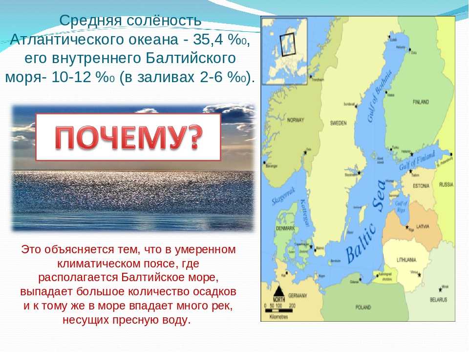 Где искать балтийское море в россии