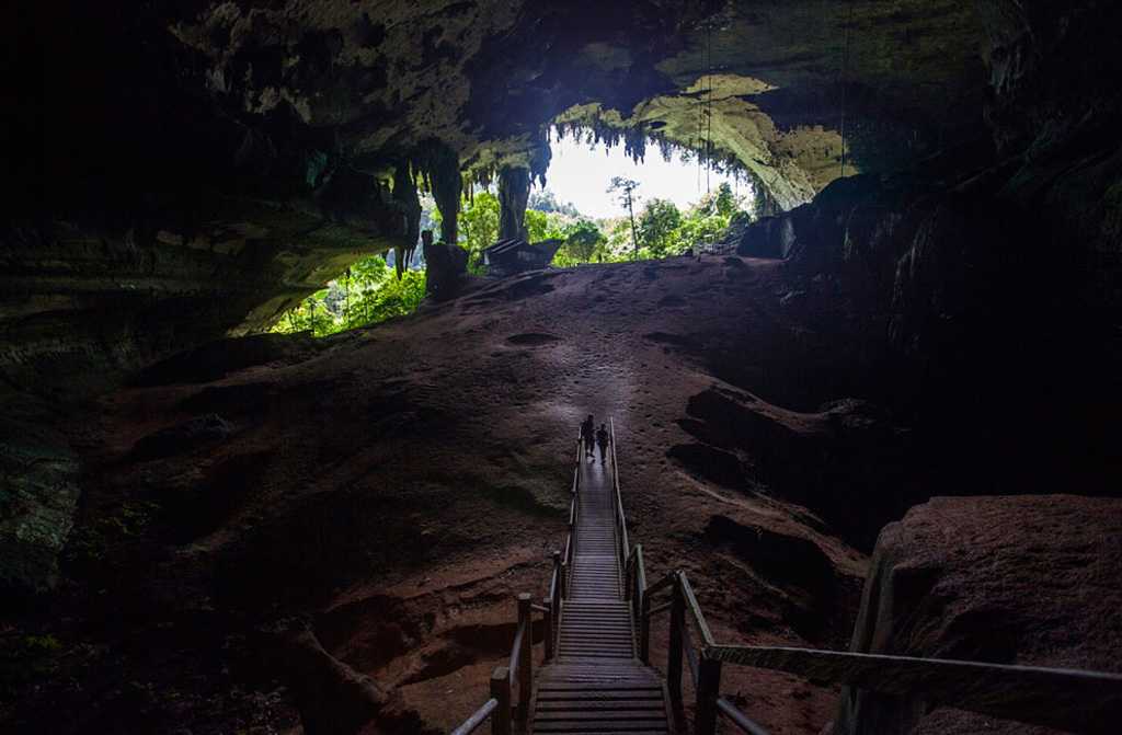 Пещера авен арман, франция — обзор