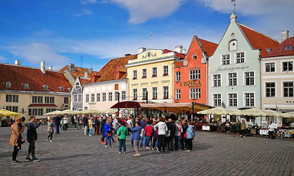 Ратушная площадь, таллин, эстония - история, экскурсии, фото