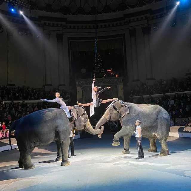 Десять самых старых цирков в мире