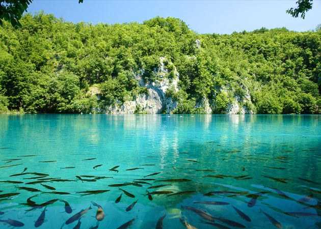 Национальный парк плитвицкие озера в хорватии. | путеводитель по красивым местам