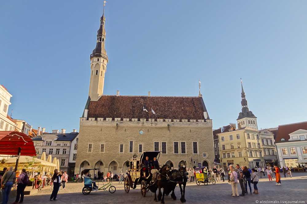 Таллинская ратуша: описание, история, экскурсии, точный адрес