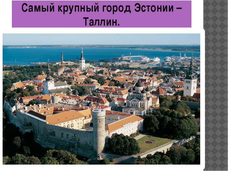 Таллин (эстония) - все о городе, фото, достопримечательности