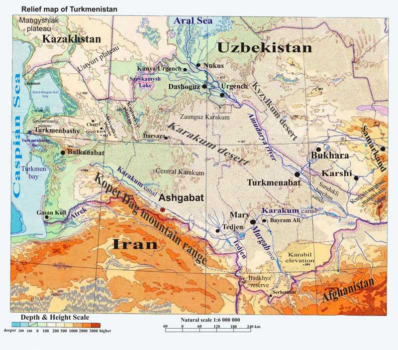 Пустыня гоби – где находится на карте мира, животные, растения, видео