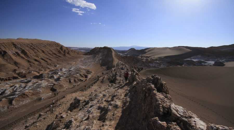 Загадочный гигант из пустыни атакама в чили
