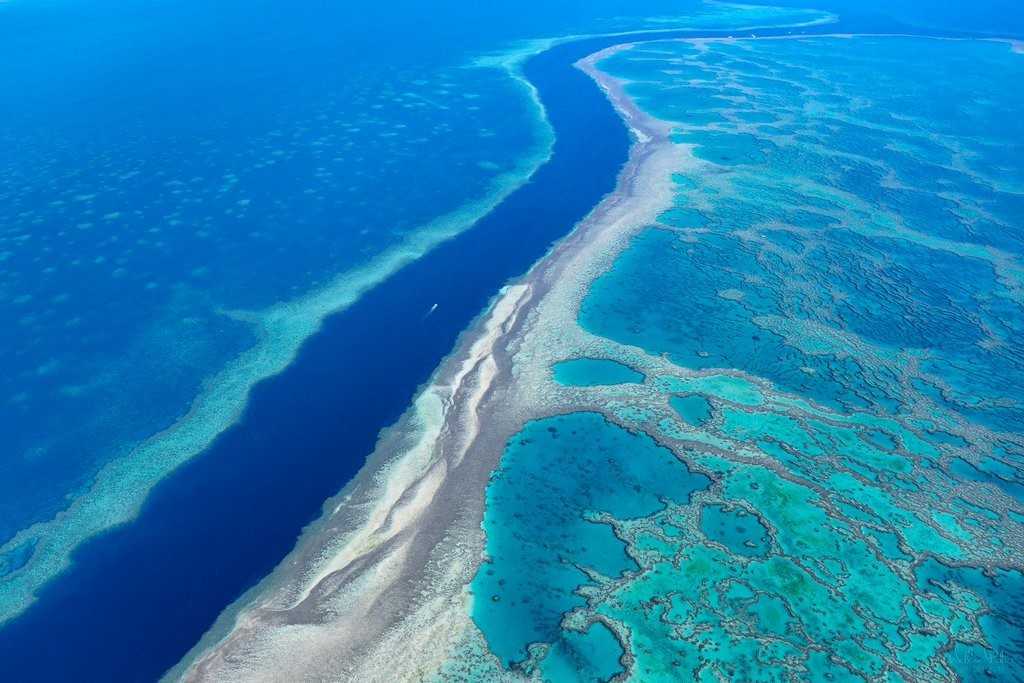 Большой барьерный риф, фото подборка (69 фотографий)