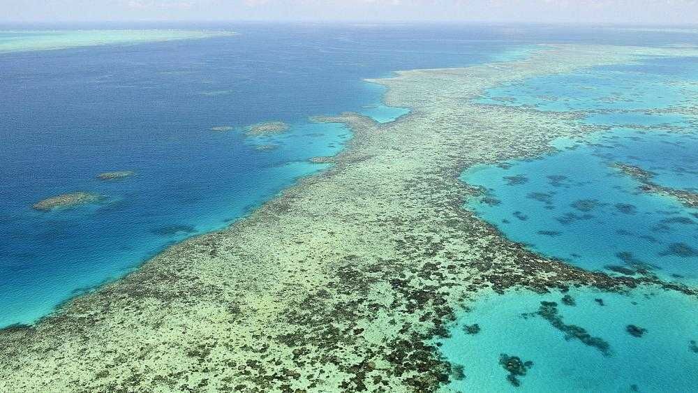 Большой барьерный риф: уникальная эко-система