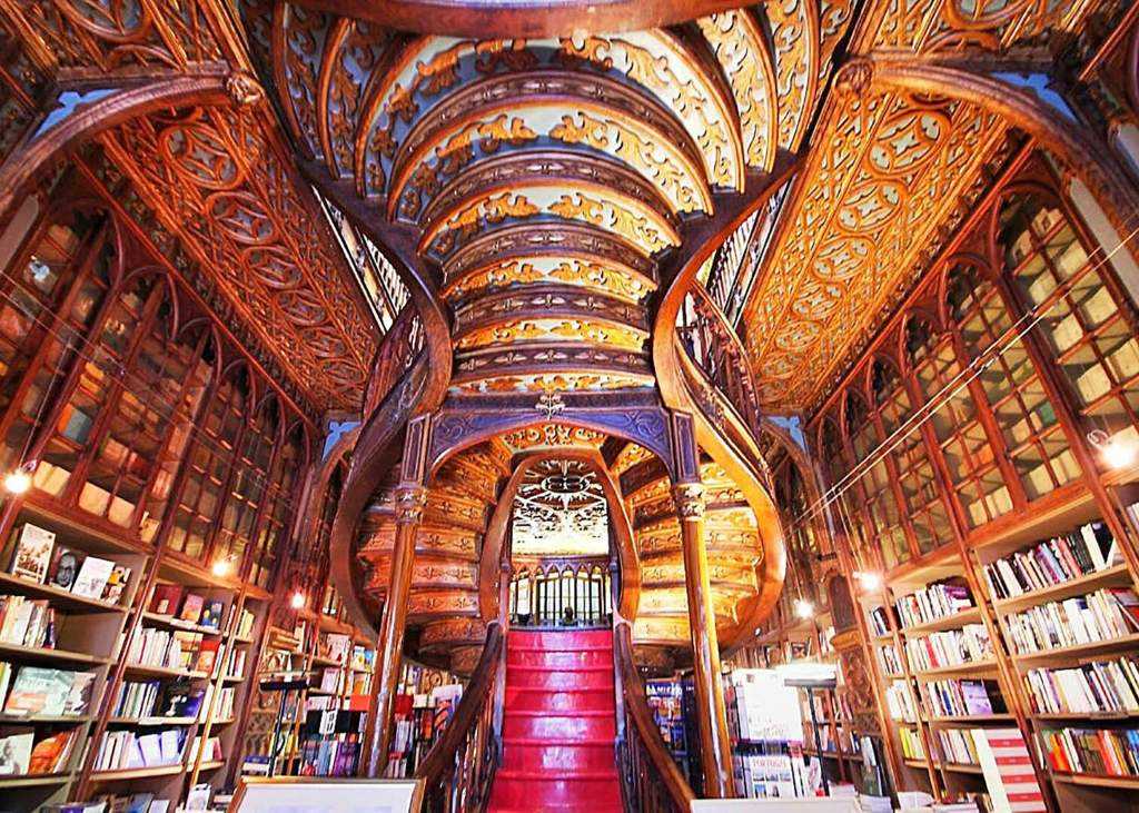 Самые красивые и необычные библиотеки мира – топ 15