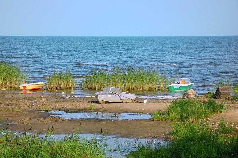 Чудское озеро, гдов. базы отдыха, рыбалка, погода, где находится, как добраться, фото, видео на туристер.ру
