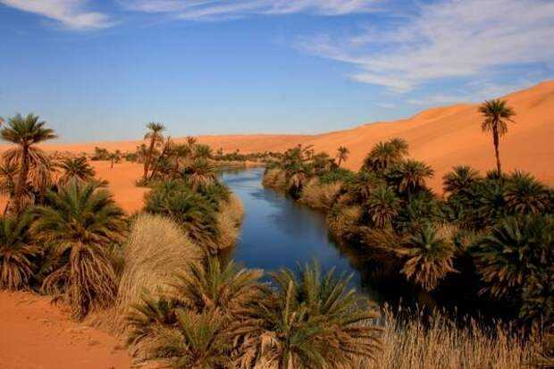 Оазисы ливийской пустыни