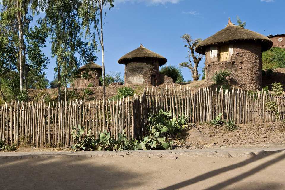 Гид по эфиопии: шесть причин поехать в сердце африки