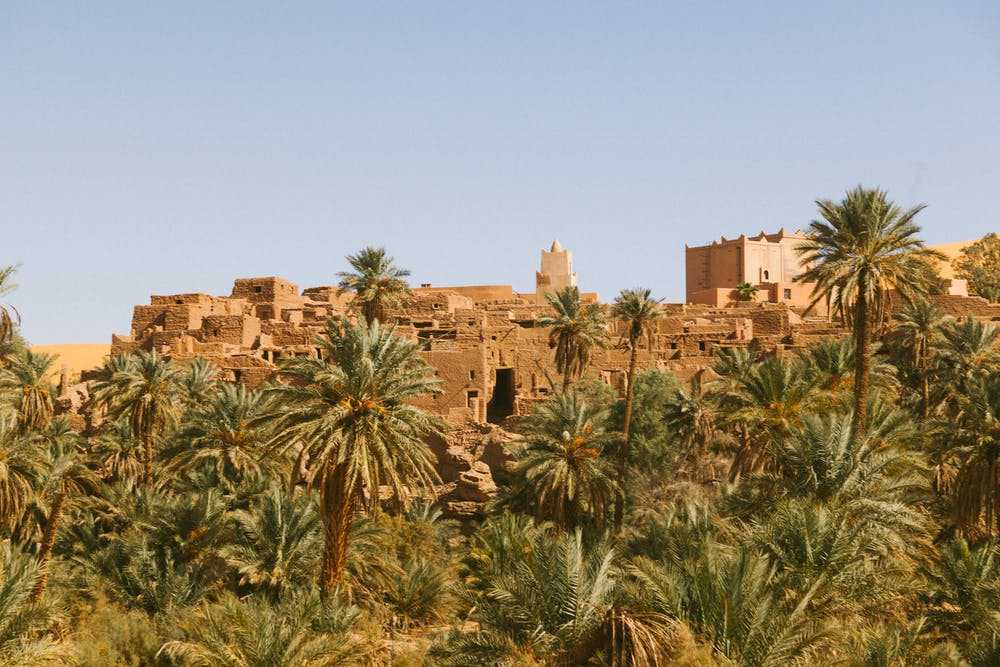 Сива — самый удаленный из египетских оазисов, он находится на уровне 18,3м ниже уровня моря на старом караванном пути.