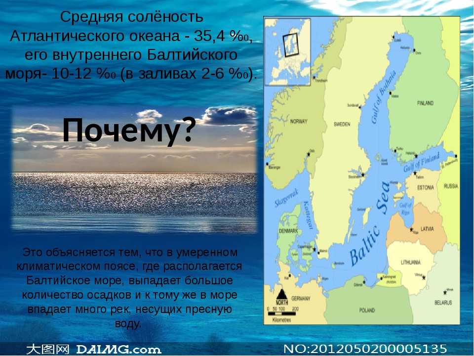 Балтийское море. где находится на карте мира, соленость, глубина, ресурсы, площадь, характеристика