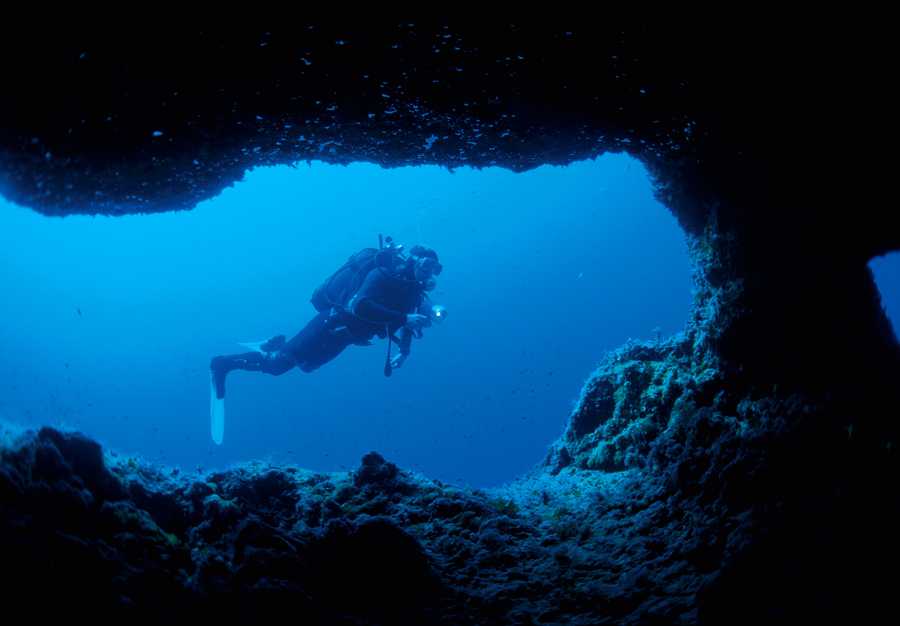 Полное погружение: 16 невероятно ярких фотографий подводного мира