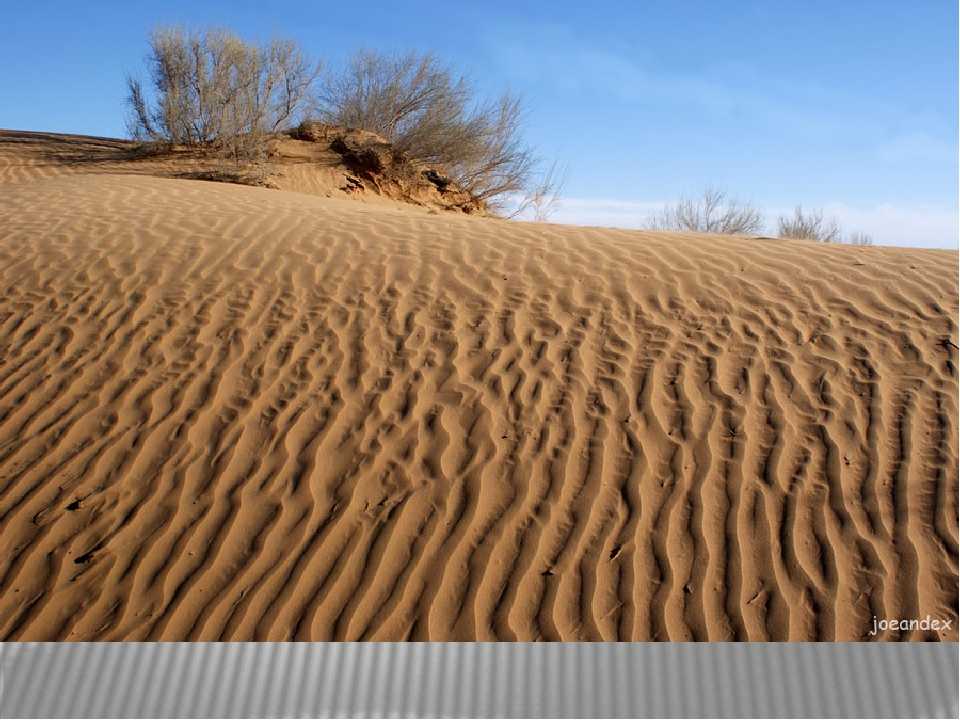 Царица земной красоты — намиб, величайшая пустыня мира